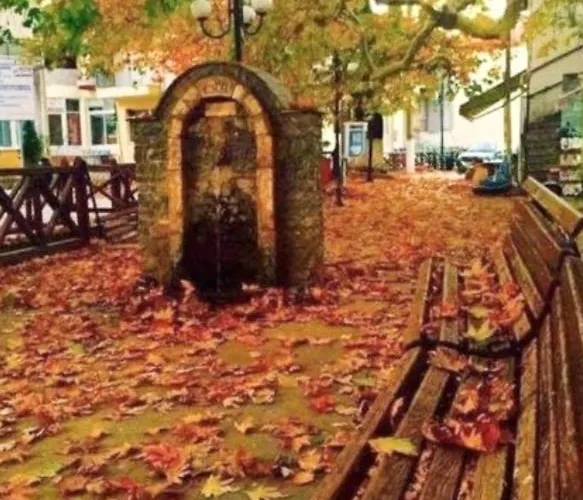 Cozy Place
